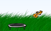 Kitten Cannon Kitten Cannon